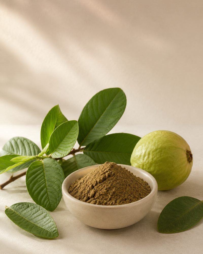 Amrud (Guava) Leaves Extract 10:1: extract powder with the raw Psidium guajava botanical