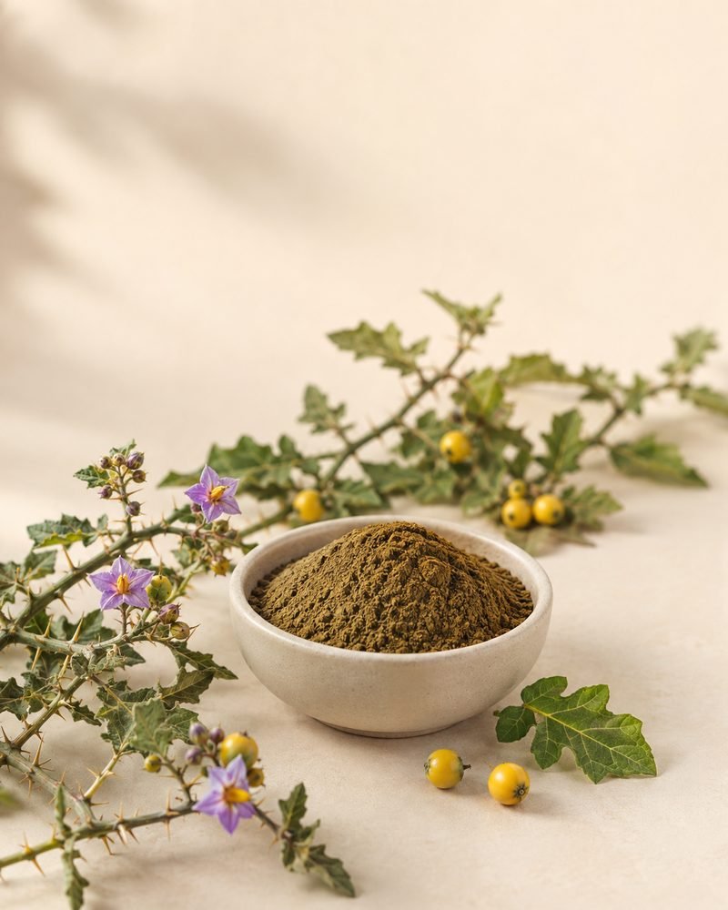 Kantkari Extract 8:1: extract powder with the raw Solanum xanthocarpum botanical