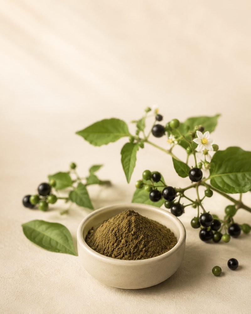 Makoi Extract 10:1: extract powder with the raw Solanum nigrum botanical