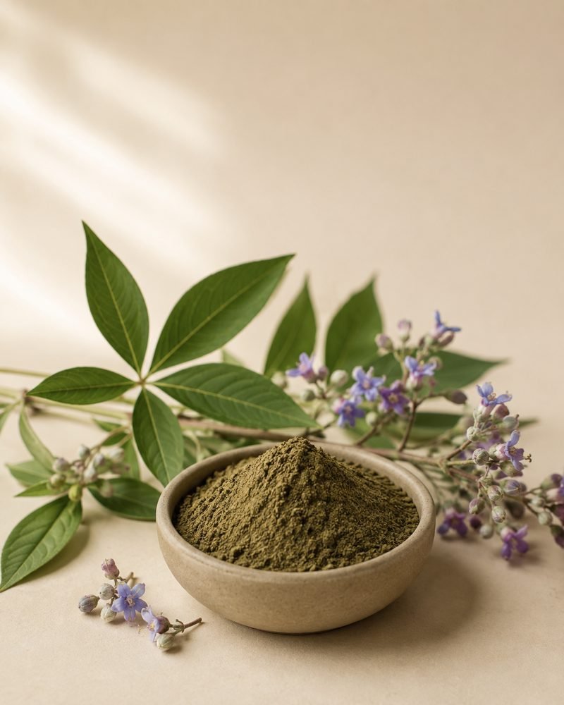 Nirgundi Extract 10:1: extract powder with the raw Vitex negundo botanical