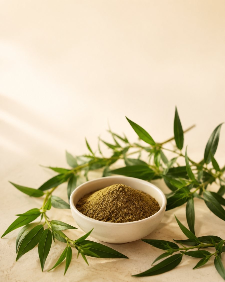 Andrographis Paniculata Extract raw material and powder